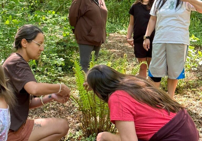 13_IBJ_plant support