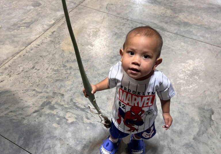 2_About video placeholder_little one showing plant gathered